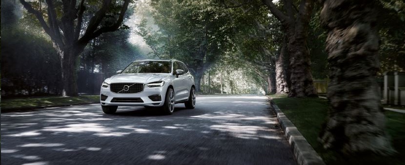 xc60campagna1