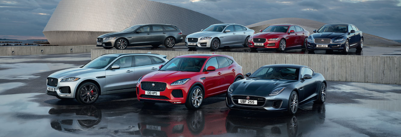 foto jaguar days